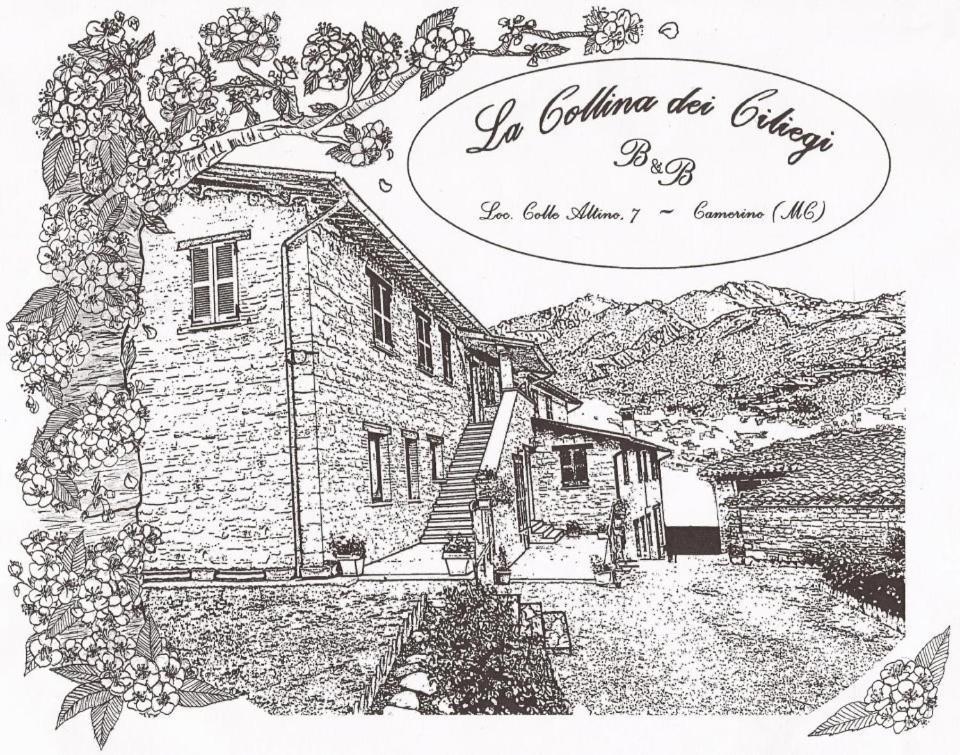 La Collina Dei Ciliegi Villa Camerino Exteriör bild